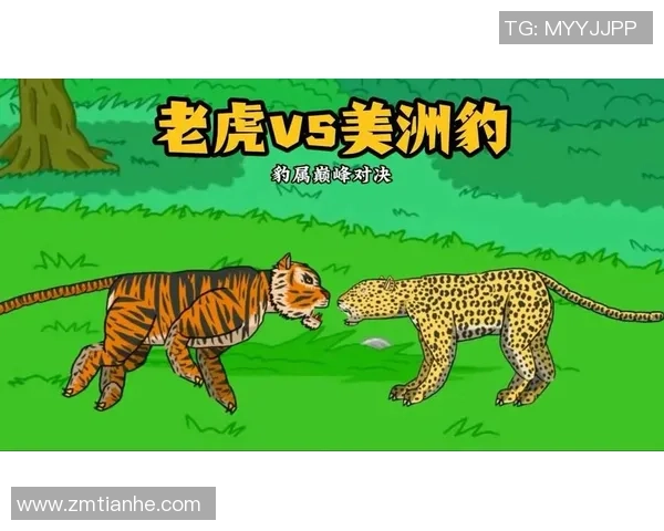 老虎大学与瓜拉达的精彩对决揭示了体育竞技的无限魅力与激情